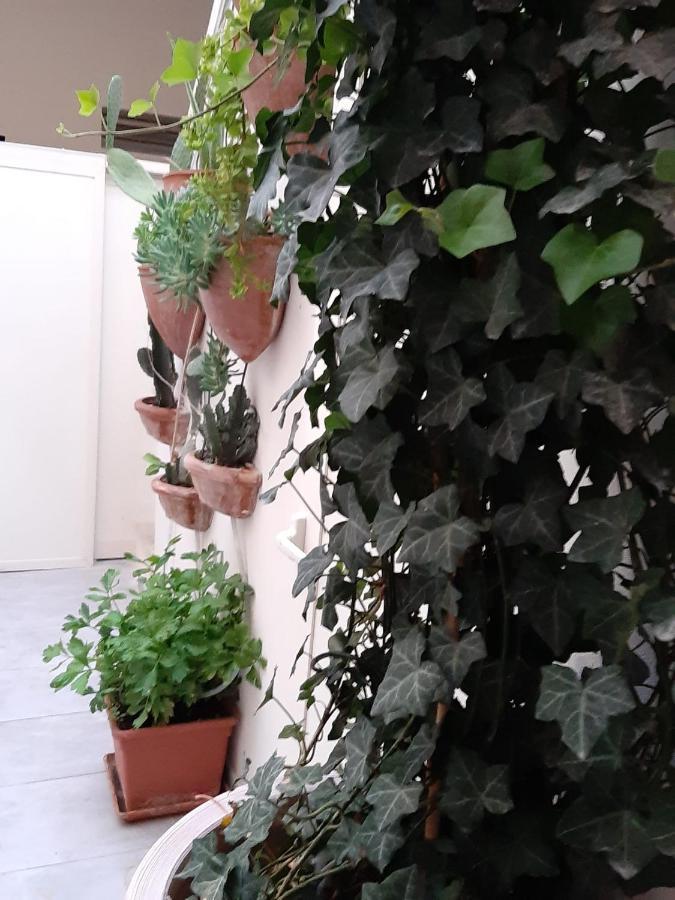 莱切Litium 3住宿加早餐旅馆 外观 照片